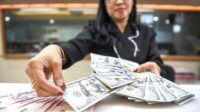 3966f668e6a8d69cfafbcaa650030e3d.jpg Pejabat Gubernur Sementara Bank Indonesia Destry Damayanti memberikan keterangan terkait arus masuk modal asing.