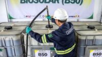 64c296b47b15f81bc9c3f5276d25d9ac.jpg Tumpukan buah kelapa sawit segar di perkebunan untuk bahan baku biodiesel