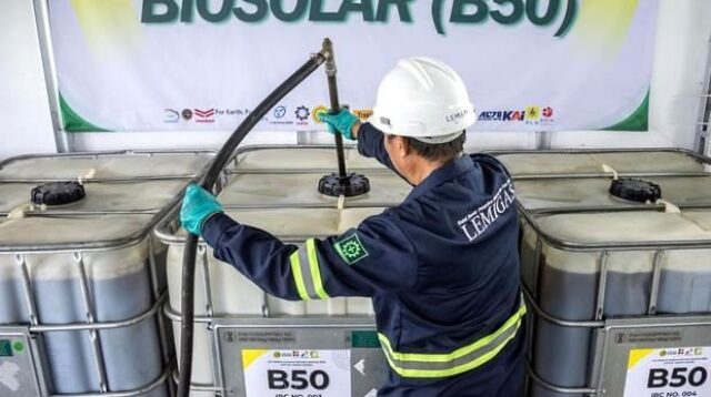 Tumpukan buah kelapa sawit segar di perkebunan untuk bahan baku biodiesel