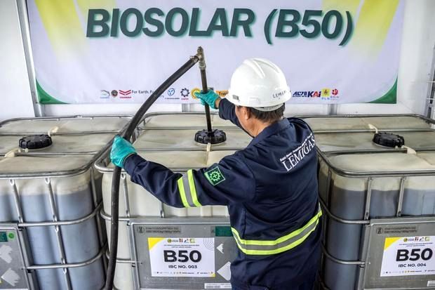 Tumpukan buah kelapa sawit segar di perkebunan untuk bahan baku biodiesel