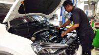 Sonet_on_Service