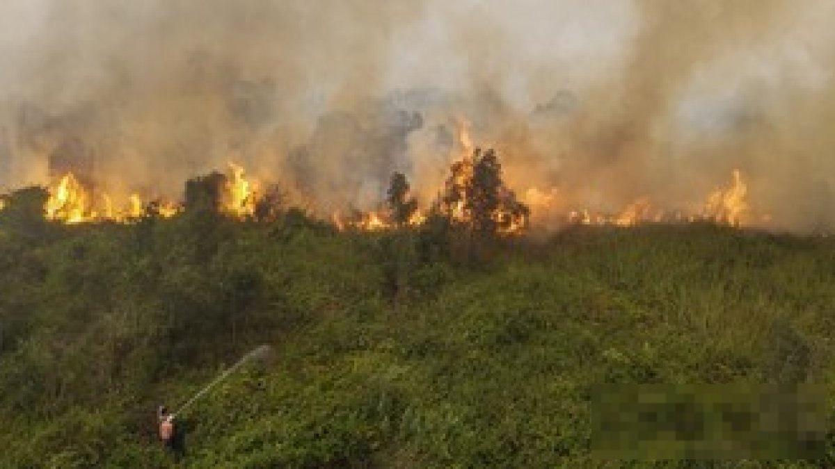 Menteri Kehutanan Raja Juli Antoni memberikan keterangan pers terkait pembekuan izin 6 perusahaan akibat kebakaran hutan.