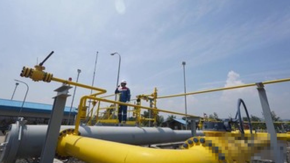Menteri Perindustrian Muhammad Sarmuji memberikan keterangan terkait kebijakan pengalihan ekspor gas bumi untuk industri nasi