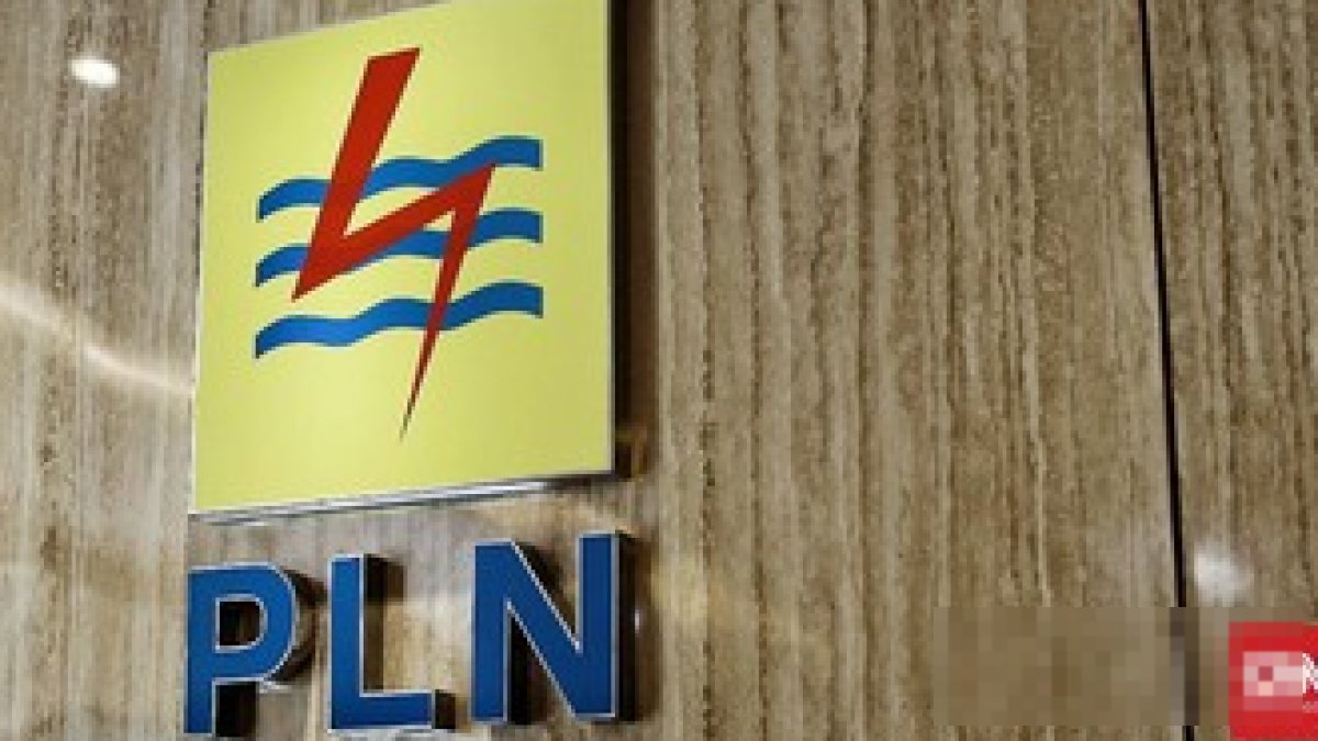 Danantara Rombak Total Operasional dan Struktur Tarif Listrik PLN