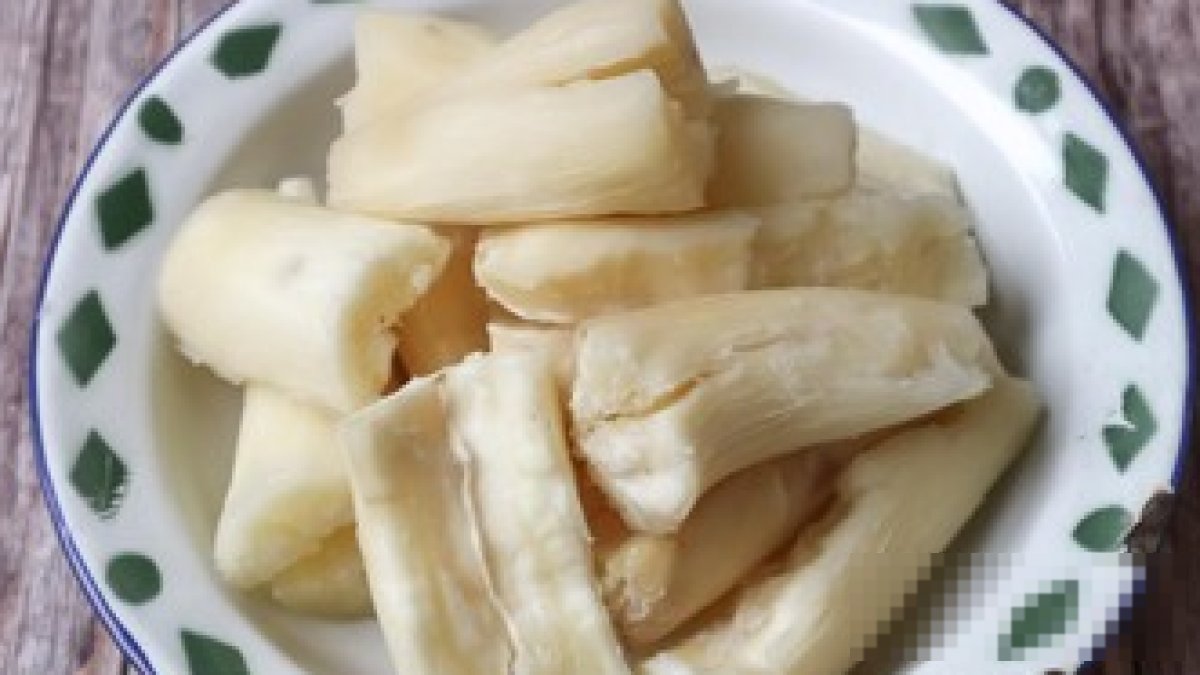Pemerintah Tutup Impor, Harga Singkong di Tingkat Petani Tembus Rp3 Ribu