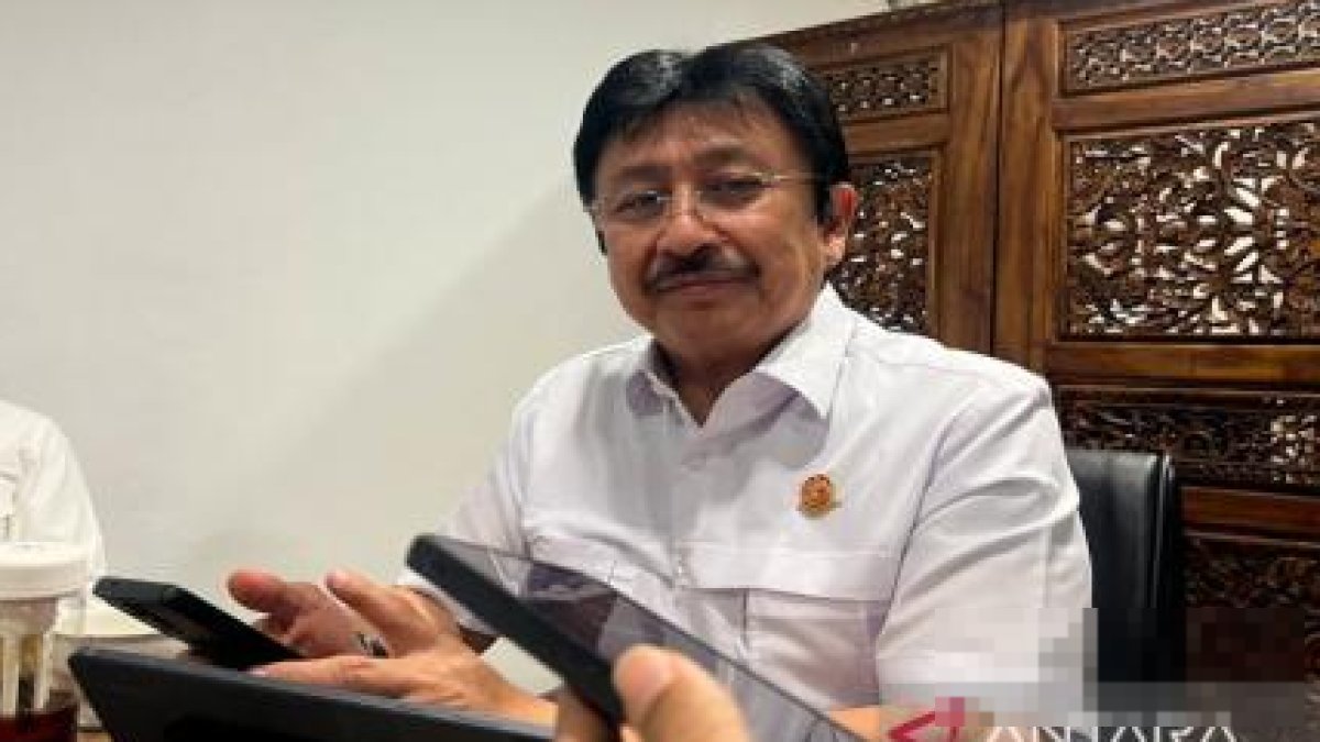 Pemerintah Siapkan Stimulus PPN Tiket Pesawat Rp722 Miliar Akhir Tahun