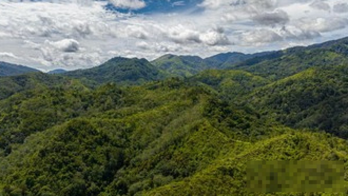 Deputi Bappenas menjelaskan target peta jalan bioekonomi nasional untuk pertumbuhan ekonomi hijau yang berkelanjutan.